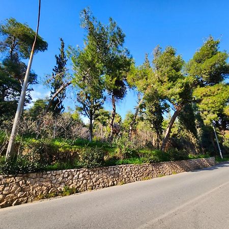 Cozy Apartment For 4 In Kolonaki, Lycabettus Ateny Zewnętrze zdjęcie