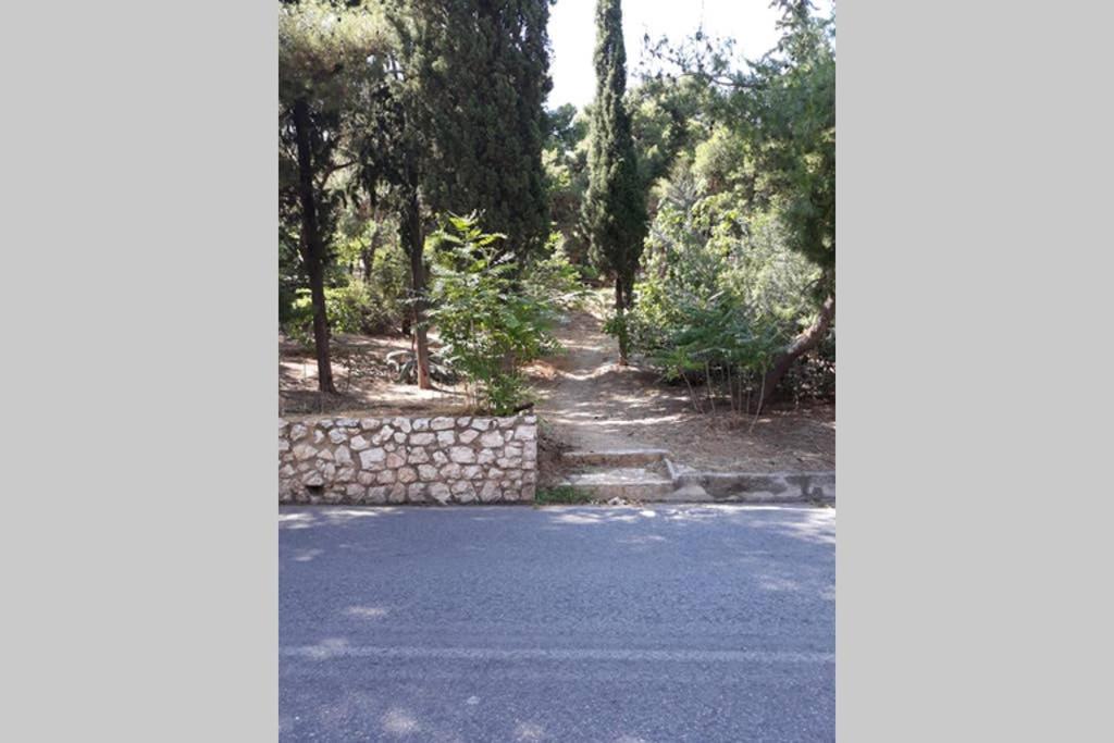Cozy Apartment For 4 In Kolonaki, Lycabettus Ateny Zewnętrze zdjęcie